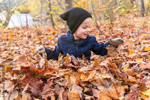 Cute little boy sit on leafs during autumn © Louis-Photo