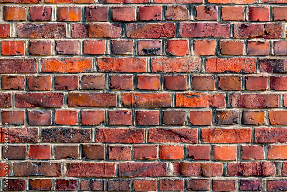 Fototapeta premium Old brick wall, Color