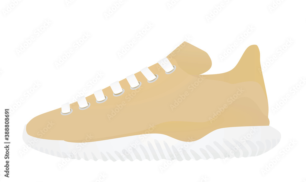 Brown canvas sneaker. vector illustration Brown canvas sneaker. vector illustration