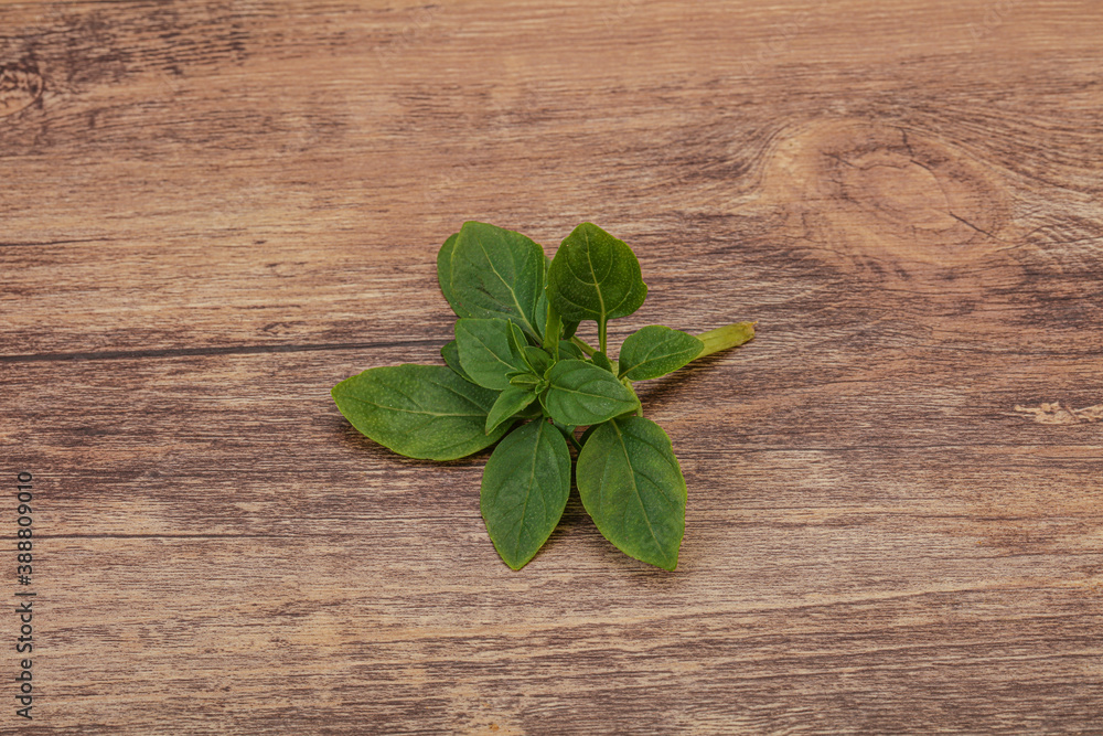 Aroma seasoning - Green Basil leaves Aroma seasoning - Green Basil leaves