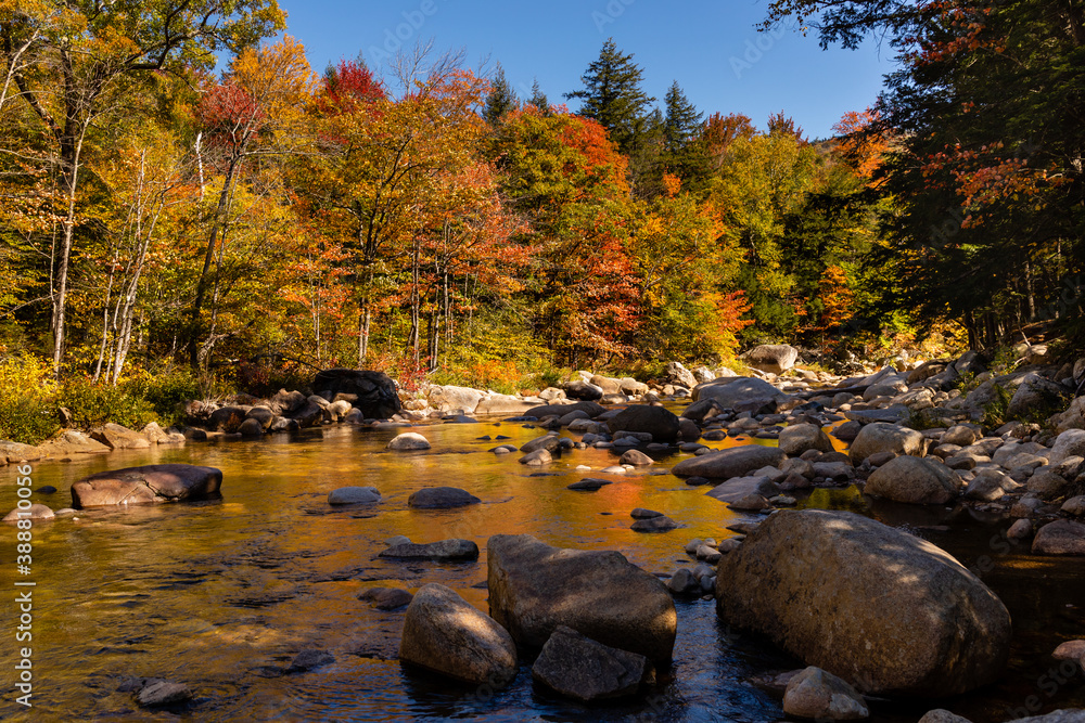 Rocks stand tall in the Swift River while bright, autumn foliage colors the shoreline under a blue sky along the Kancamagus Highway, New Hampshire
Rocks stand tall in the Swift River while bright, autumn foliage colors the shoreline under a blue sky along the Kancamagus Highway, New Hampshire