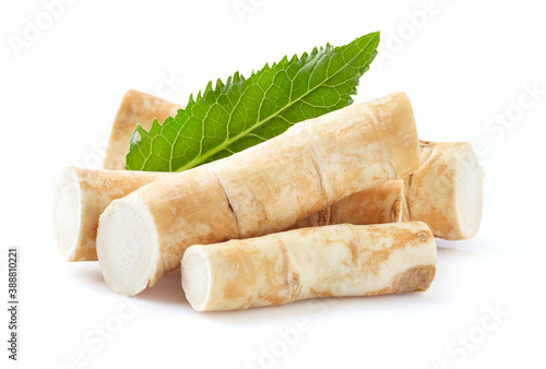 Foto Horseradish root with leaf on white background