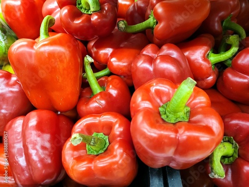 Fresh red peppers from the gardent