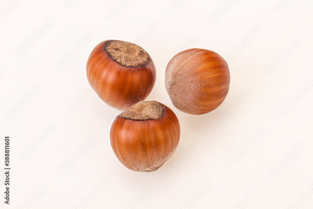 Hazelnut heap isolated over background Hazelnut heap isolated over background