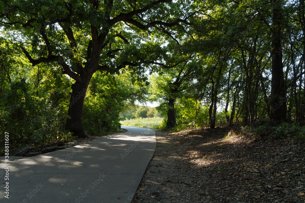 path in the park path in the park