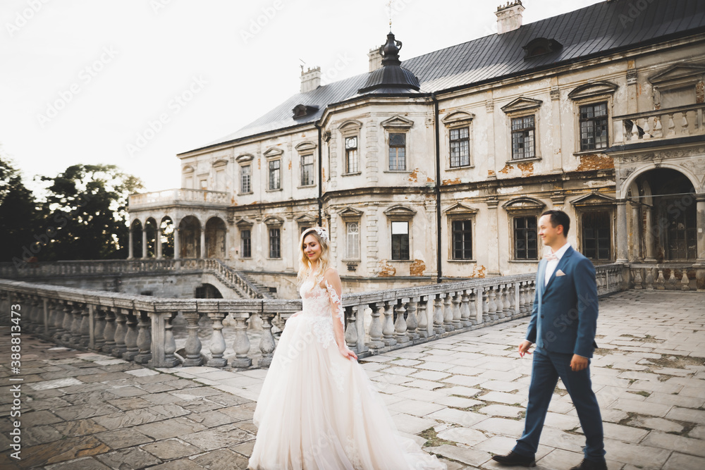 Sunshine portrait of happy bride and groom near old historical castle