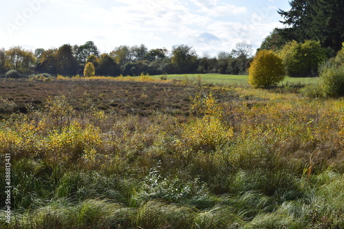 herbstlich buntes Sumpfmaar Strohner Märchen photo