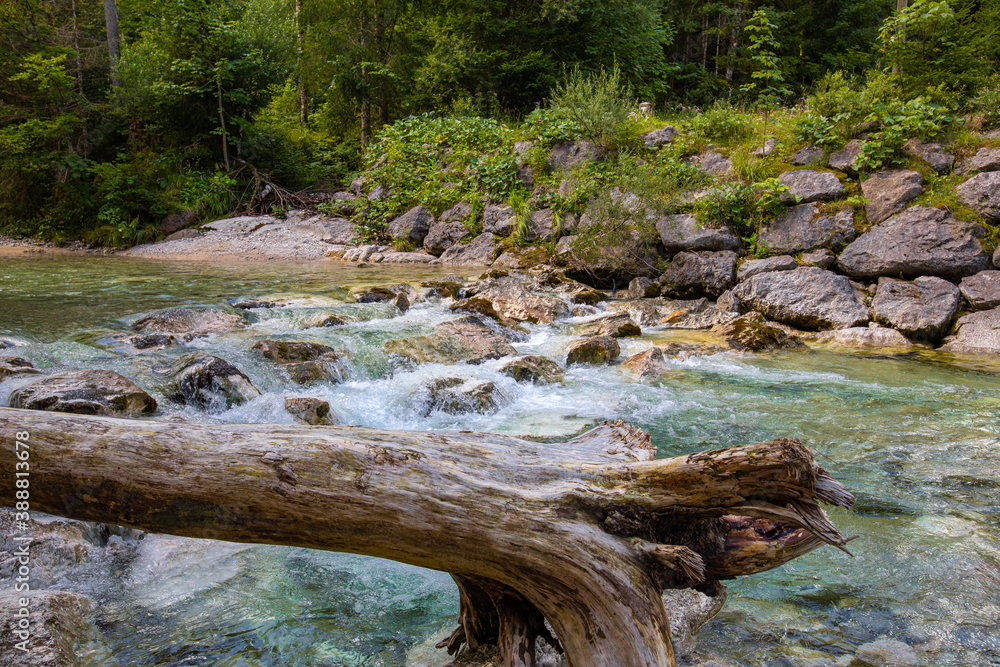 Fototapeta premium pure water in the Alps 