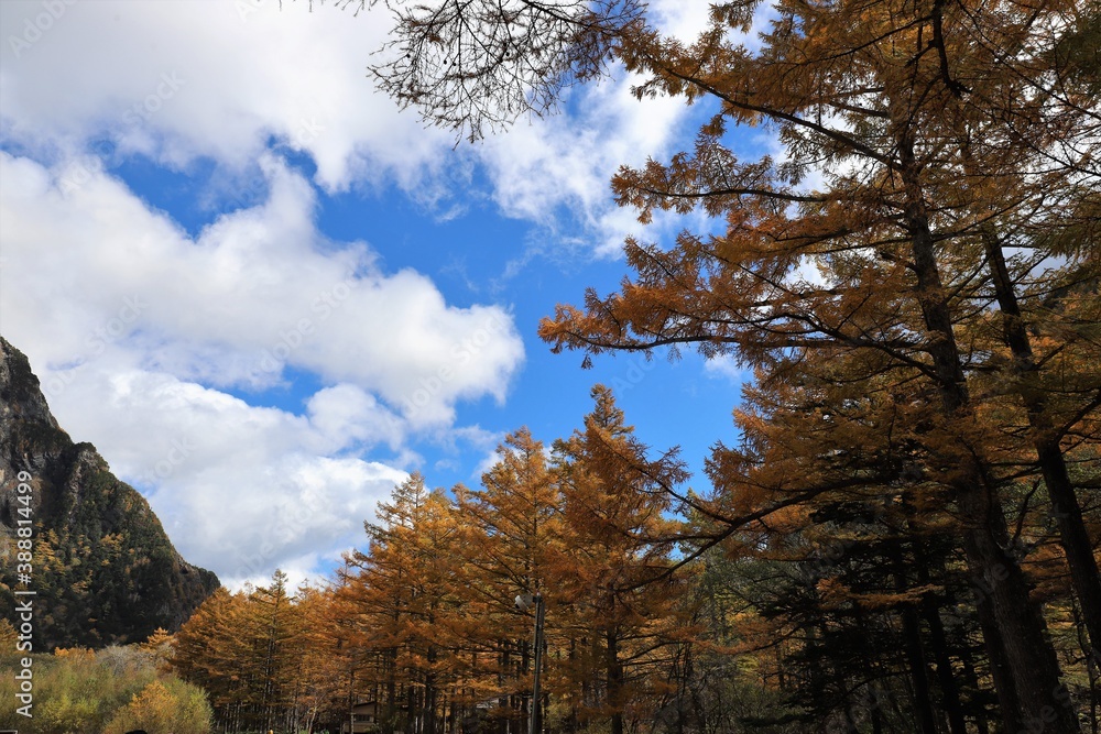 上高地の紅葉