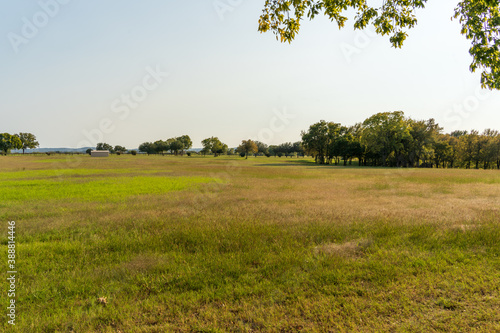 field and trees
