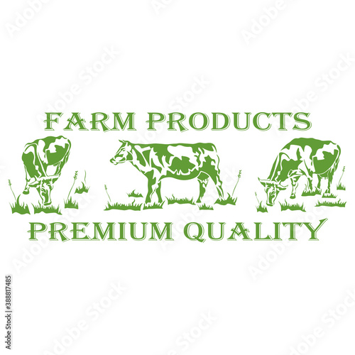 Cow silhouettes, grass, the inscription FARM PRODUCTS PREMIUM QUALITY. Logo for a natural product, for the dairy and meat business, for a store, for a bazaar. Vector illustration.
