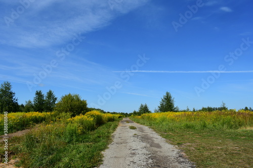 road in the countryside