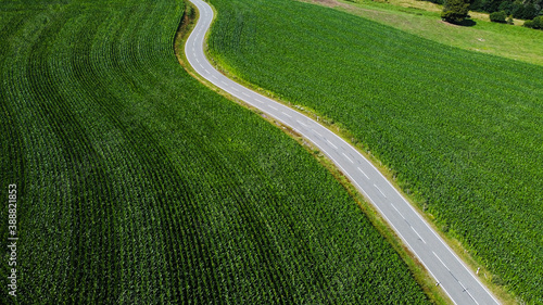 Aerial view of a small road framed by farming fields