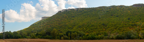 Panorama of the mountain forest. The rocky cliffs.