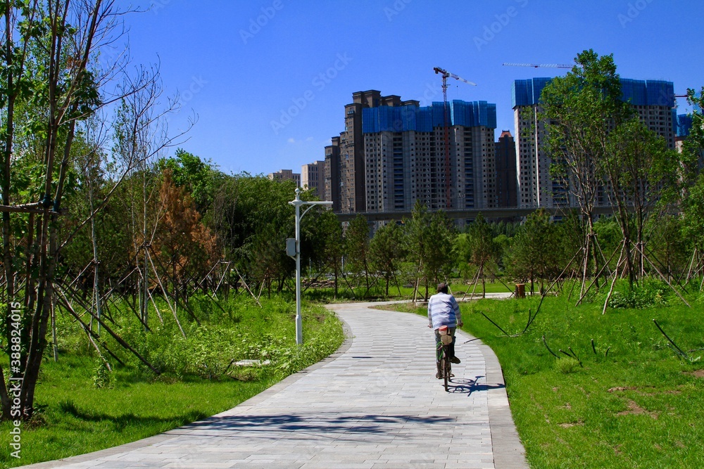 A man is riding a bike in a park trail. Modern apartment in city