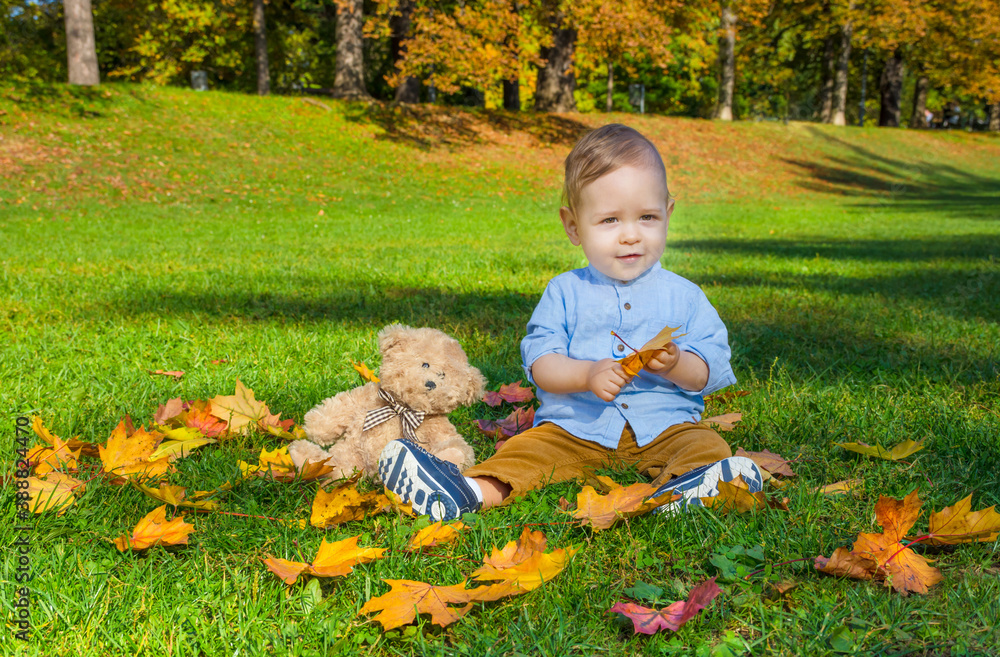 Small child playing with his teddy bear and colorful leaves in the park, in autumn. Cute baby boy portrait having fun outdoor in nature, in sunny fall day. Small child playing with his teddy bear and colorful leaves in the park, in autumn. Cute baby boy portrait having fun outdoor in nature, in sunny fall day.