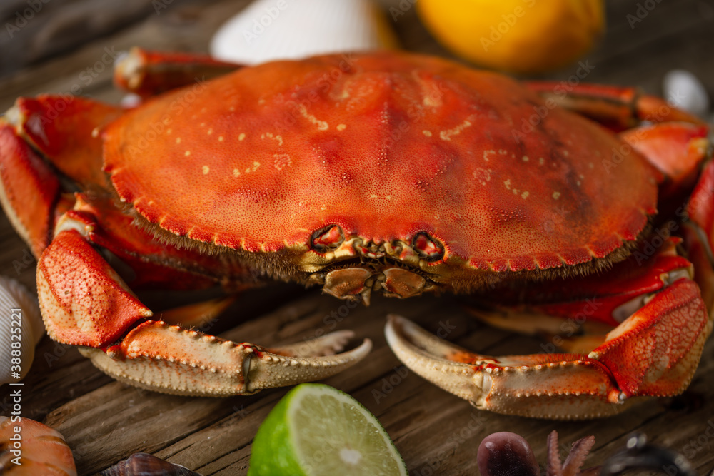Close-up view of big coked crab served with lime, lemon and seashells on rustic wooden background. Seafood concept. Delicious meal. Close-up view of big coked crab served with lime, lemon and seashells on rustic wooden background. Seafood concept. Delicious meal.
