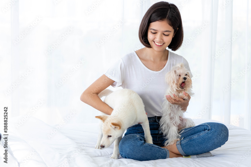 Young Asian woman relaxing smiling, sitting on the bed, holding and petting a dog and a puppy in bedroom. Relationship between human and animal. Happy with pet lifestyle. Young Asian woman relaxing smiling, sitting on the bed, holding and petting a dog and a puppy in bedroom. Relationship between human and animal. Happy with pet lifestyle.