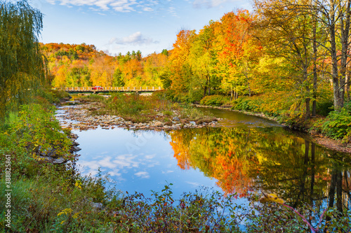 Fototapeta Naklejka Na Ścianę i Meble -  trees in beautiful fall colors reflected in quiet river stream 
