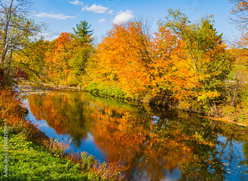 trees in beautiful fall colors reflected in quiet river stream 