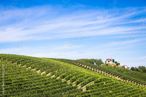 Piedmont hills in Italy with scenic countryside, vineyard field and blue sky