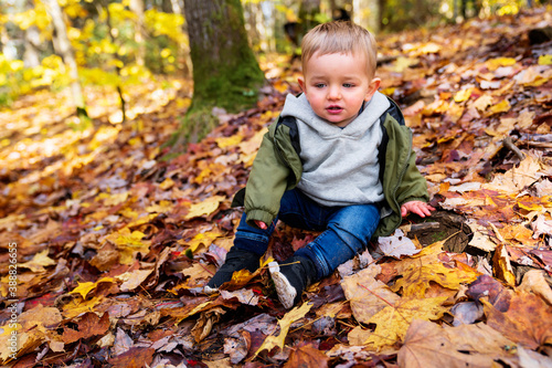Little toddler boy in autumn park walking lonely