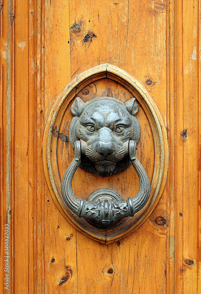 Ornamental bronze door knocker on wood door in Castellina, Tuscany, Italy