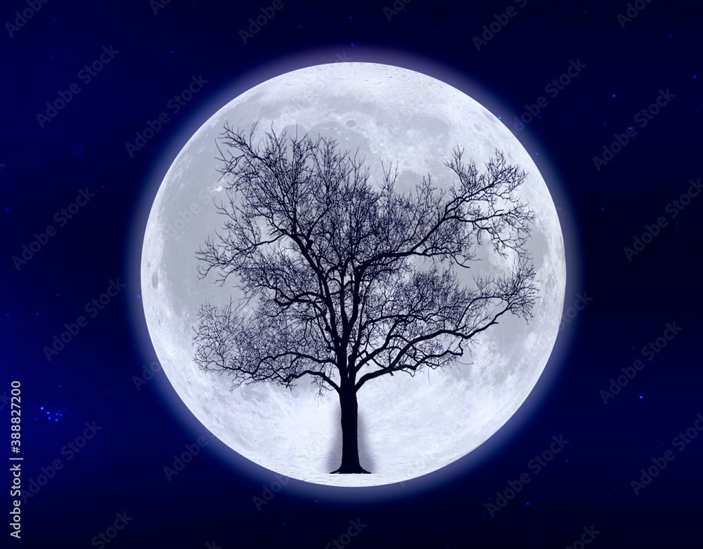 Naklejka premium Moon