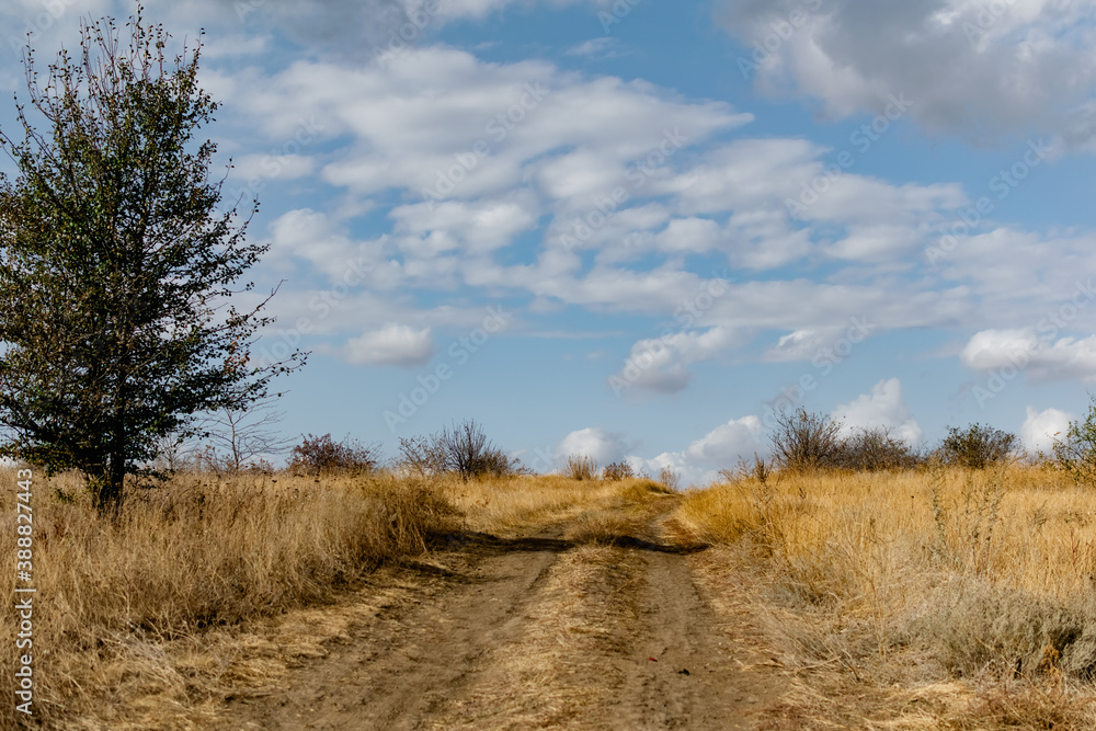 Obraz premium A winding wide road with turns of dust, earth and sand, among dry vegetation and grass. On the background of a beautiful cloudy sky. Yellow drying plants and shrubs around
