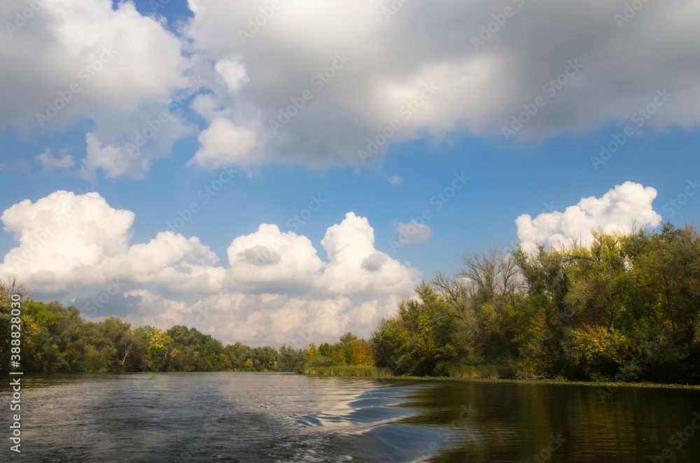 Autumn river landscape with trees on the bank