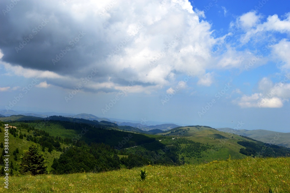 beautiful mountain landscape in summer