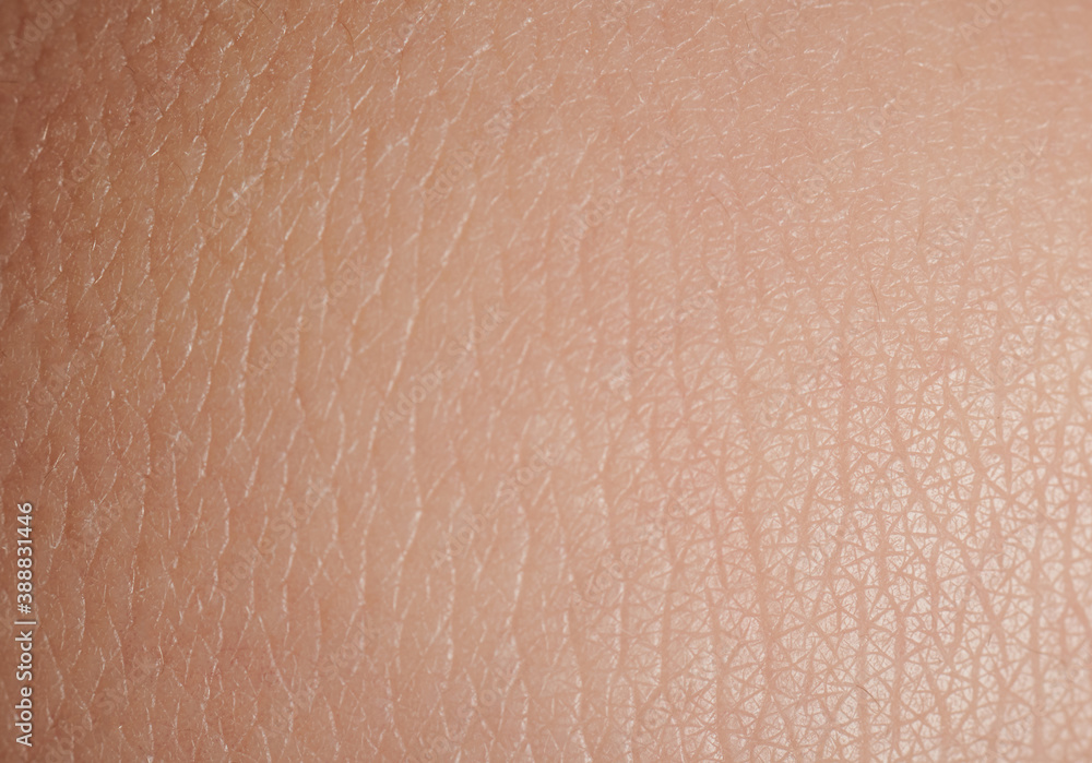 Fototapeta premium Human skin in bend spot