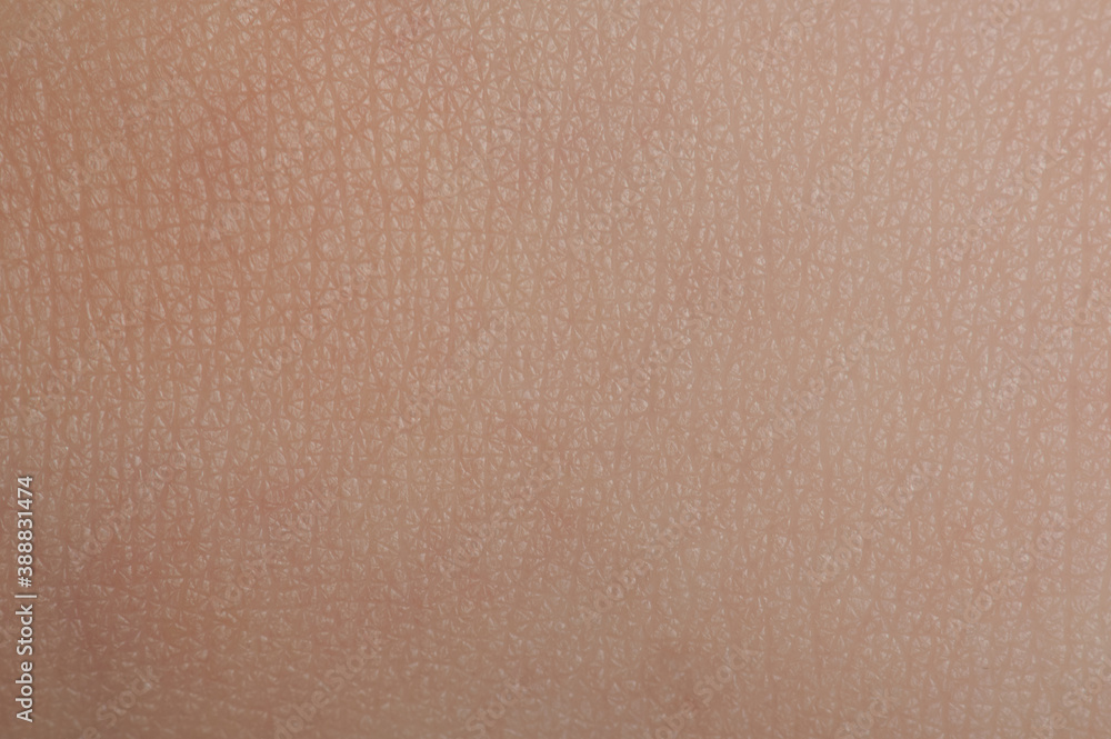 Fototapeta premium Pattern of clean human skin