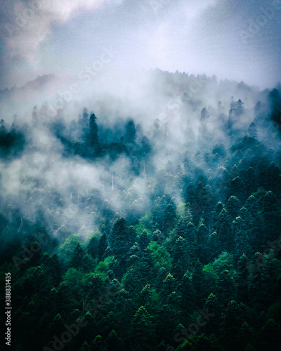Photo of mountains in the fog in a classic style. © Александр Кудрявцев