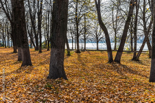 Autumn park on the Kostroma embankment, Russia