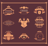 vintage labels elements collection of icons vector design