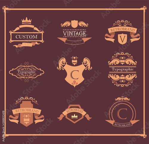 vintage labels elements collection of icons vector design