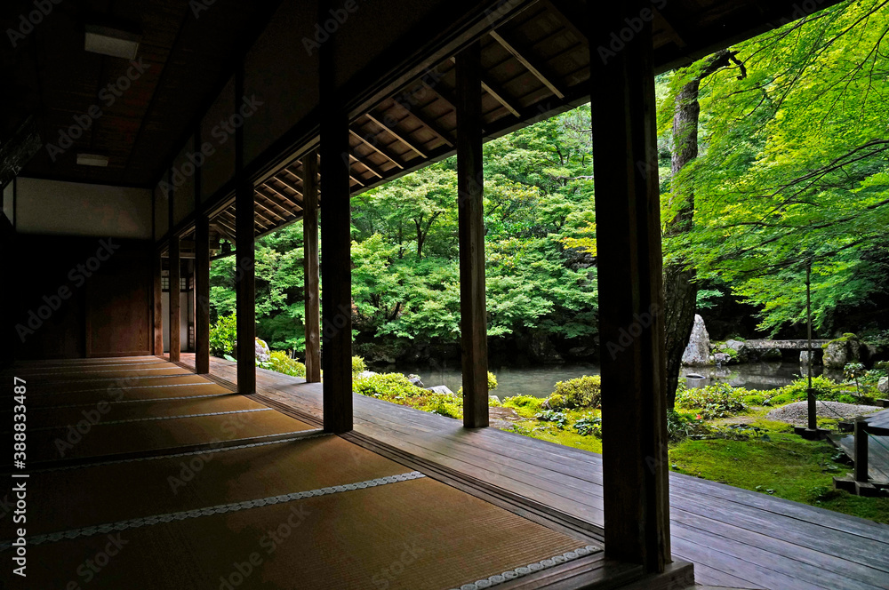 池と庭園 池と庭園