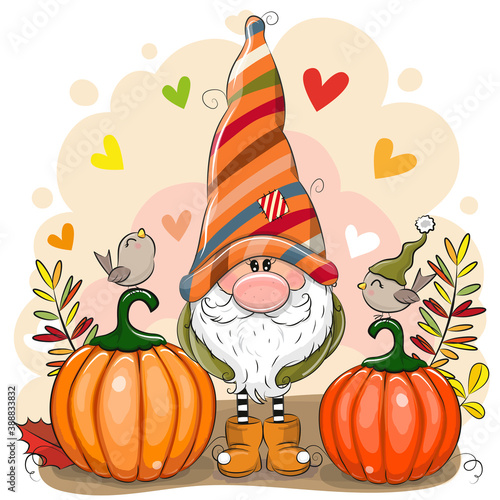 Cartoon Gnome with two pumpkins and birds