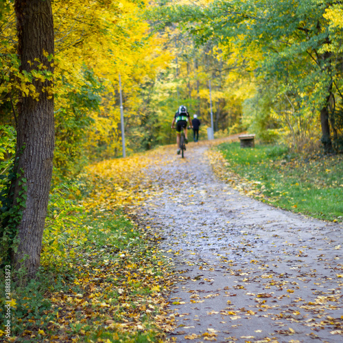 Herbst am Radweg Gehweg Wandern und Laufen im Herbst mit gelben Blättern Laub © JoHans
