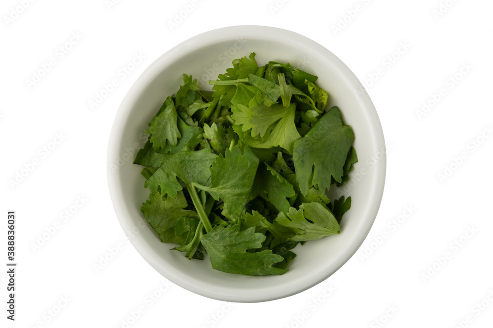 Chop coriander in a white bowl isolated on white background with Clipping Path Chop coriander in a white bowl isolated on white background with Clipping Path