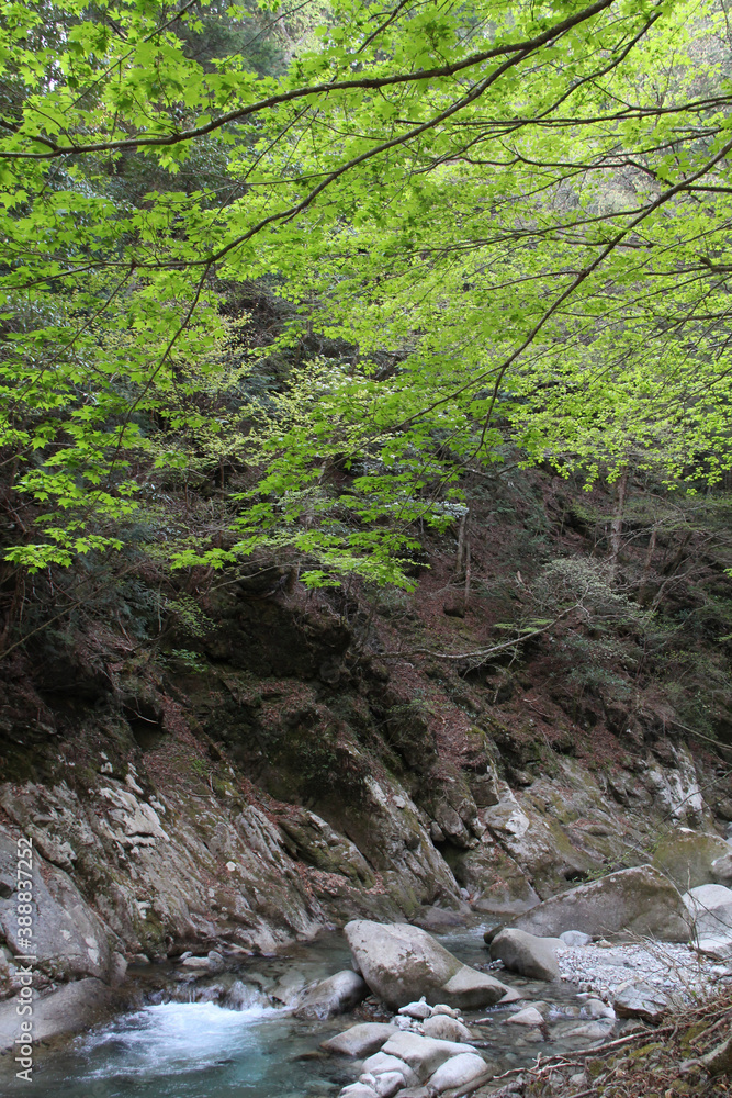 西沢渓谷 西沢渓谷