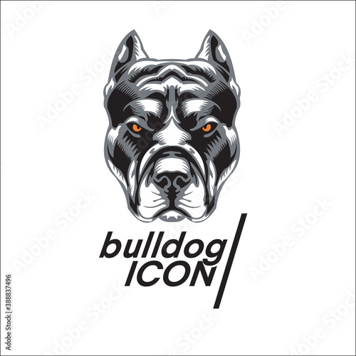 Bulldog head logo exclusive design inspiration