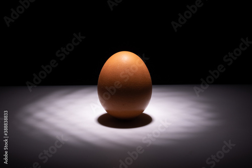 egg standing on the table, illuminated by a spotlight