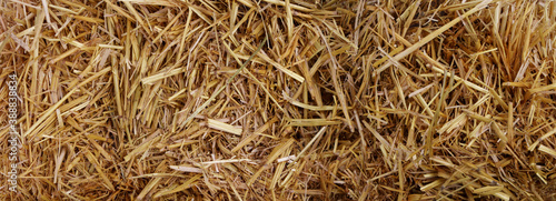 Hay Stack Background