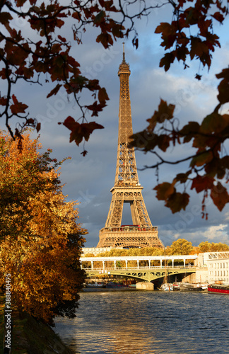 Beautiful view of autumn tree with the Eiffel tower in the foreground in Paris. © kovalenkovpetr