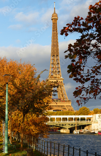 Beautiful view of autumn tree with the Eiffel tower in the foreground in Paris.