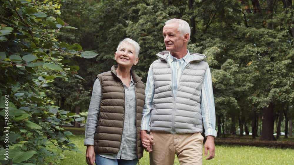 Travelling medium long shot of loving elderly Caucasian couple holding hands walking in park, looking at each other, smiling and talking Travelling medium long shot of loving elderly Caucasian couple holding hands walking in park, looking at each other, smiling and talking