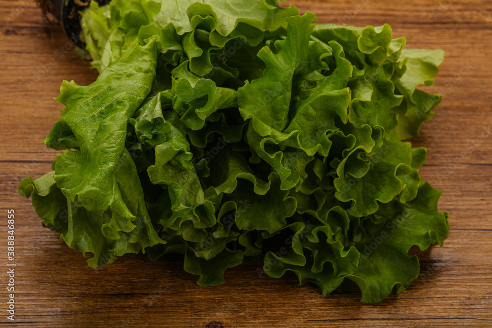Green lettuce salad heap leaves Green lettuce salad heap leaves