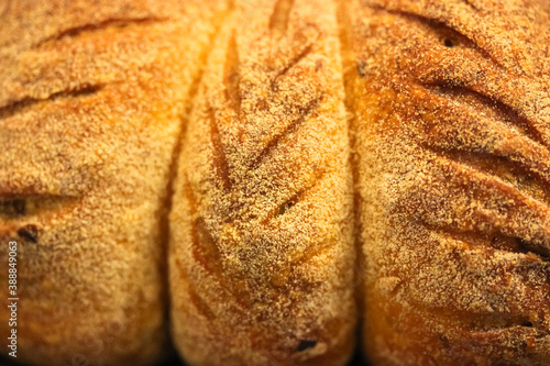 Homemade baking, white wheat bread close-up texture